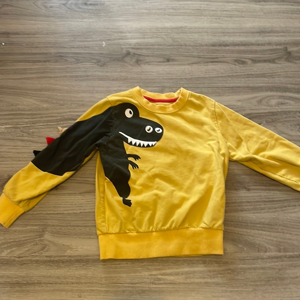 Dinosaur Sweatshirt